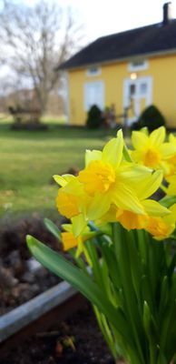 Naturskön och lantlig idyll mellan sjöar. - Bild 5