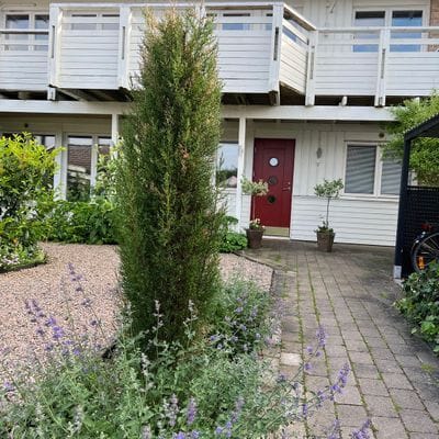 Underbart boende Båstad sista minuten - Bild 12