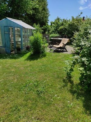 Sommarstuga med trädgård. Fiske i närheten - Bild 6