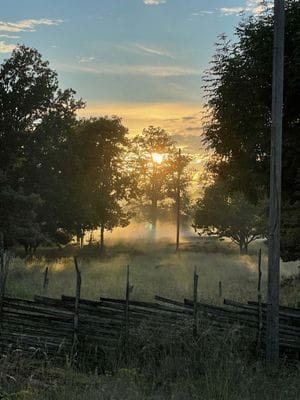 Lantlig småländsk idyll - Bild 24
