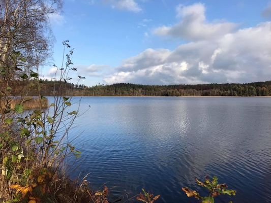 Stuga i Ljungskile med promenadstigar | SE09031 - Bild 11