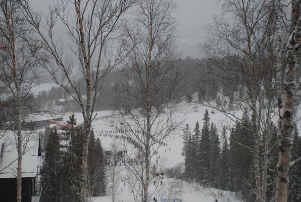 Herlig leilighet i Sadeln, 100% ski in/out! - Bild 33