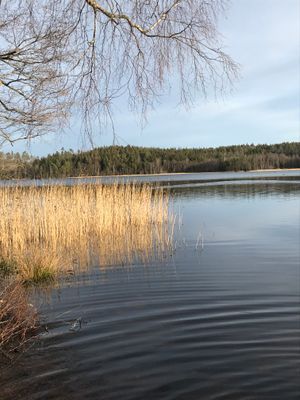 Stuga i Ljungskile med promenadstigar | SE09031 - Bild 12