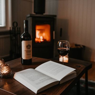 Charmigt fritidshus i skogsbrynet