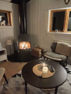 Stuga mellan Högfjällshotellet och Tandådalen - Bild 2