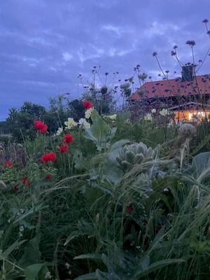 Rymligt hus på gård, intill restaurang - Bild 27