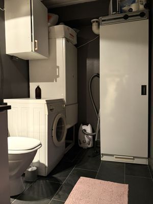 WC nere med handfat, spegelskåp, tvättmaskin och torkskåp