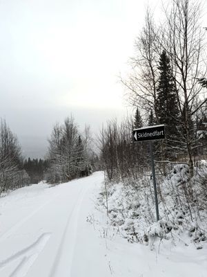 SKI IN/OUT & 10 bäddar - Timmerstuga i Åre/Duved - Bild 24