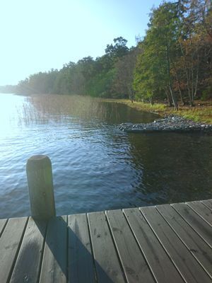 Käringholmen Gränö, Sjötomt, strand, naturnära - Bild 33