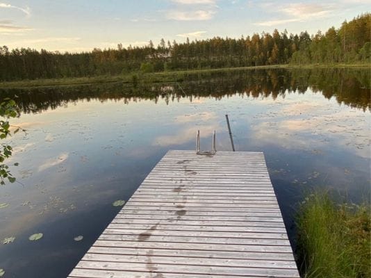 Ombyggt kapell – skogstomt med egen bastu - Bild 3