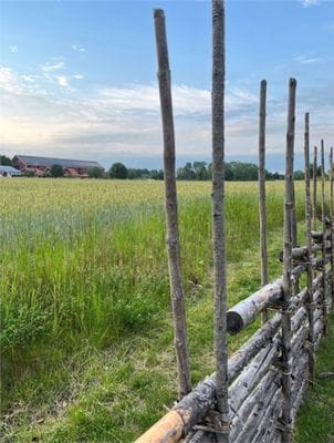 Hus i slottsmiljö - Bild 6