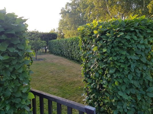 Stuga Östra Stranden Halmstad - Bild 13