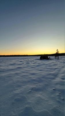 NorrskensRo - Bild 19