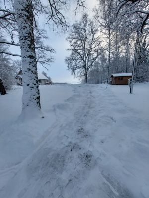 Julfirande i hus på stor strandtomt vid Mälaren - Bild 3