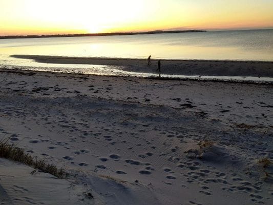 Stuga i Farhult, 200 m från stranden - Bild 4