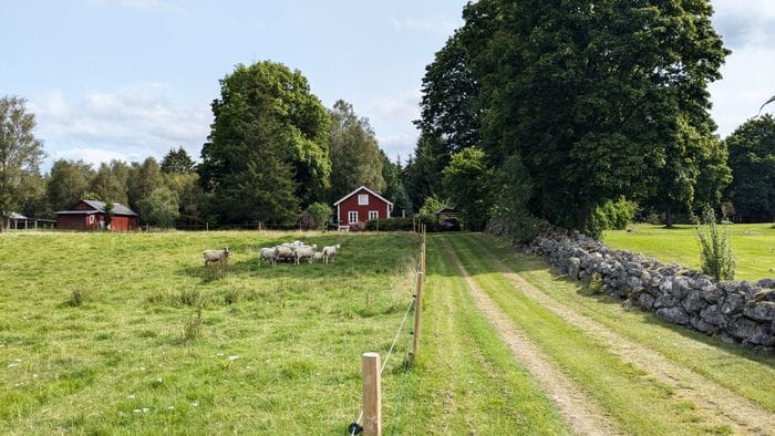 Idyllisk familjevänlig stuga i Småland | SE06095 - Bild 5