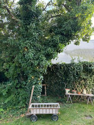 Mysigt sommarhus längs skånska kusten i Smygehamn - Bild 45