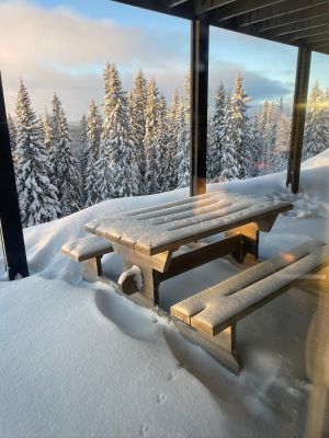 Lyxig lägenhet ski in/out, öppen spis, bastu - Bild 60