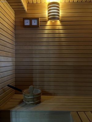 Lyxig lägenhet ski in/out, öppen spis, bastu - Bild 41