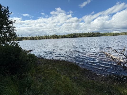 Mysigt sommarhus vid sjön i Småland - Bild 20