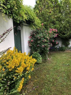 En gårdsdröm invid Sveriges sydligaste spets - Bild 18