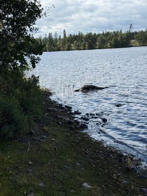 Mysigt sommarhus vid sjön i Småland - Bild 21