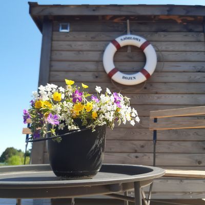 Vackert boende Järvsö, vedeldad bastu & isvak. - Bild 7