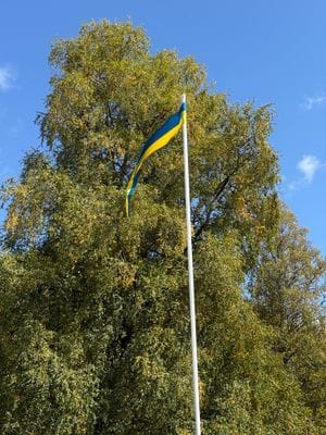 Mysigt sommarhus vid sjön i Småland - Bild 22