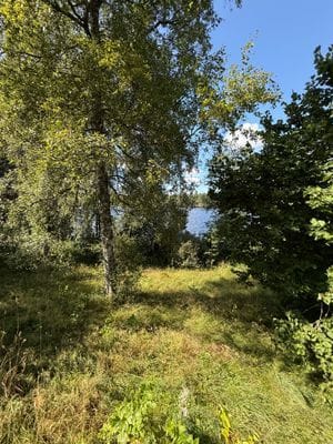 Mysigt sommarhus vid sjön i Småland - Bild 19