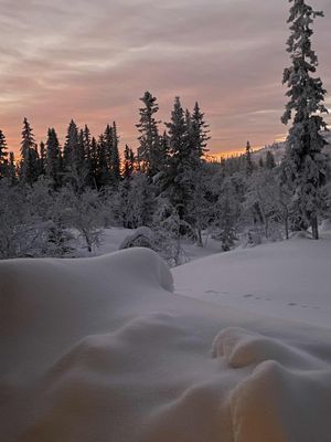 Retro fjällstuga Storhogna – bastu, braskamin - Bild 21