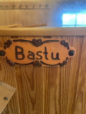 Retro fjällstuga Storhogna – bastu, braskamin - Bild 14