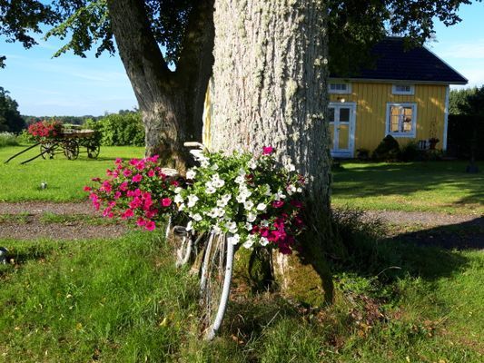 Naturskön och lantlig idyll mellan sjöar. - Bild 44