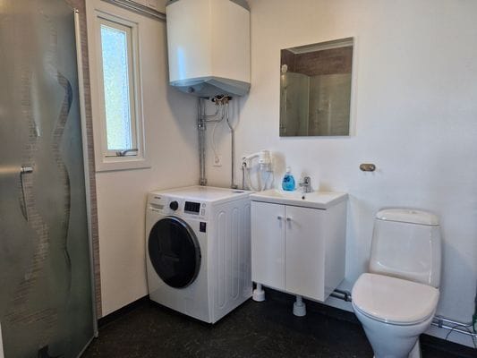 Tvättmaskin i badrummet