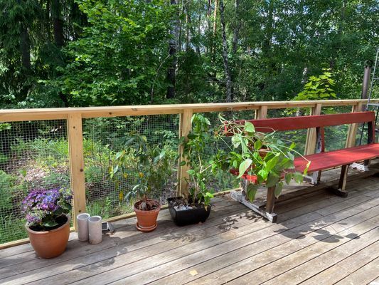 Boda Betania - Bild 34