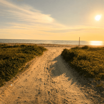 Strandnära boende i Falkenberg, Ringsegård - Bild 11