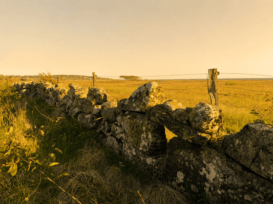 Strandnära boende i Falkenberg, Ringsegård - Bild 15