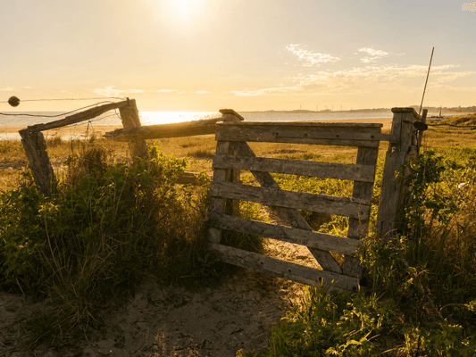 Strandnära boende i Falkenberg, Ringsegård - Bild 24