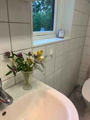 Sjönära fritidshus i lugna omgivningar - Bild 21