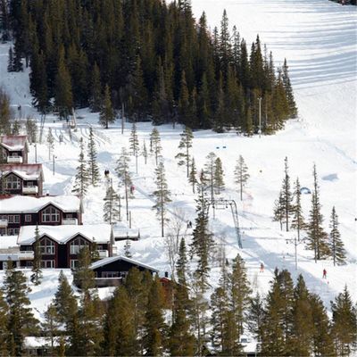 Låt bilen stå – Ski-in/Ski-out-stuga - Bild 2