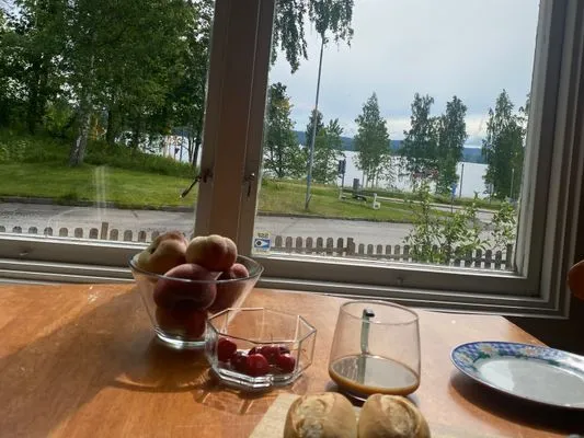 Underbar pool villa i Dalsland - Bild 19
