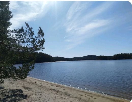 Sandstrand vid Vitsand, 30 minuter bort med bil. Tivedens Nationalpark.