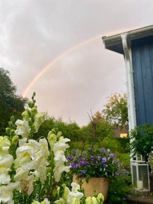 Mysigt hus i kyrkby nära Vänern - Bild 9