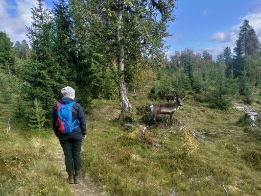 Mysig liten stuga - Bild 28