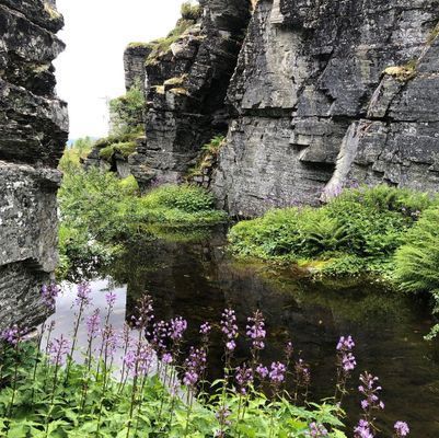 Mysig liten stuga - Bild 34