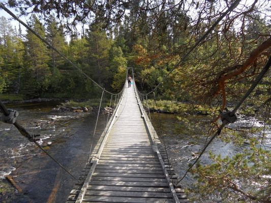 Mysig liten stuga - Bild 29