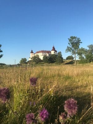 Mysigt hus i kyrkby nära Vänern - Bild 52