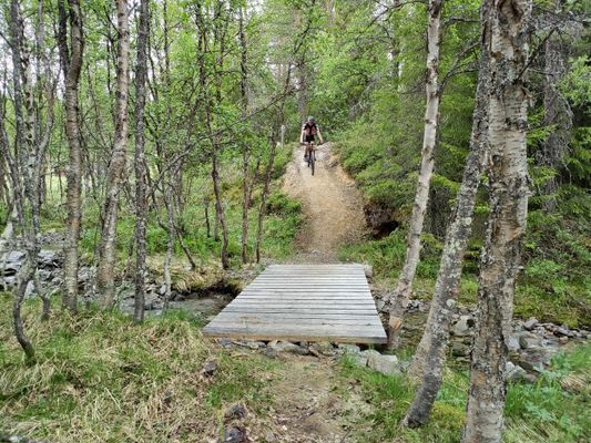 Mysig liten stuga - Bild 43