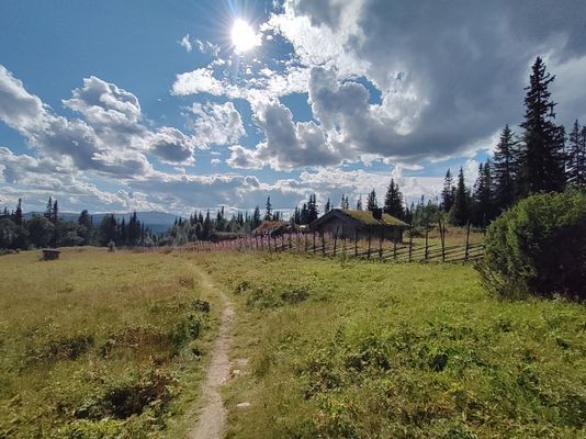 Mysig liten stuga - Bild 36