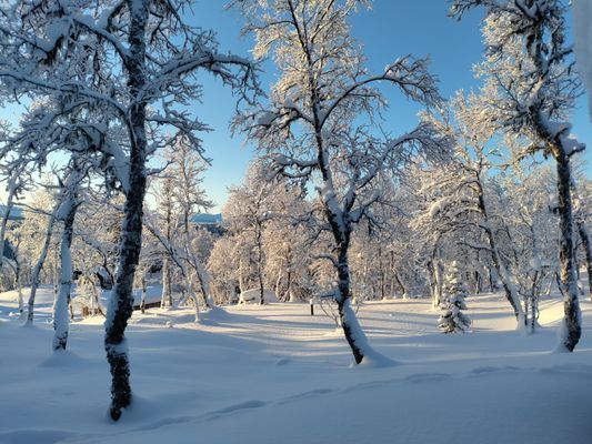 Mysig liten stuga - Bild 19