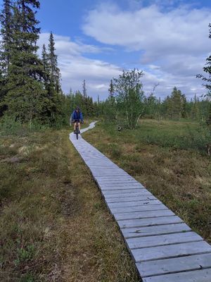 Mysig liten stuga - Bild 44